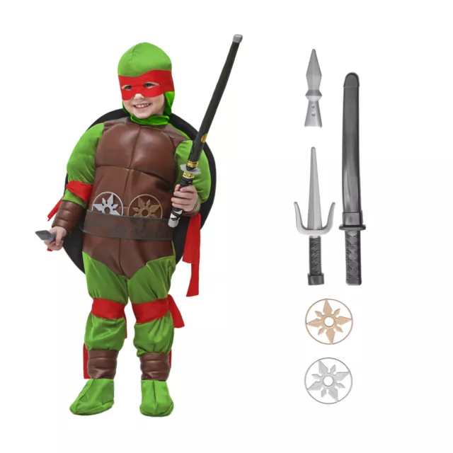 Tartaruga (con muscoli) di pegasus