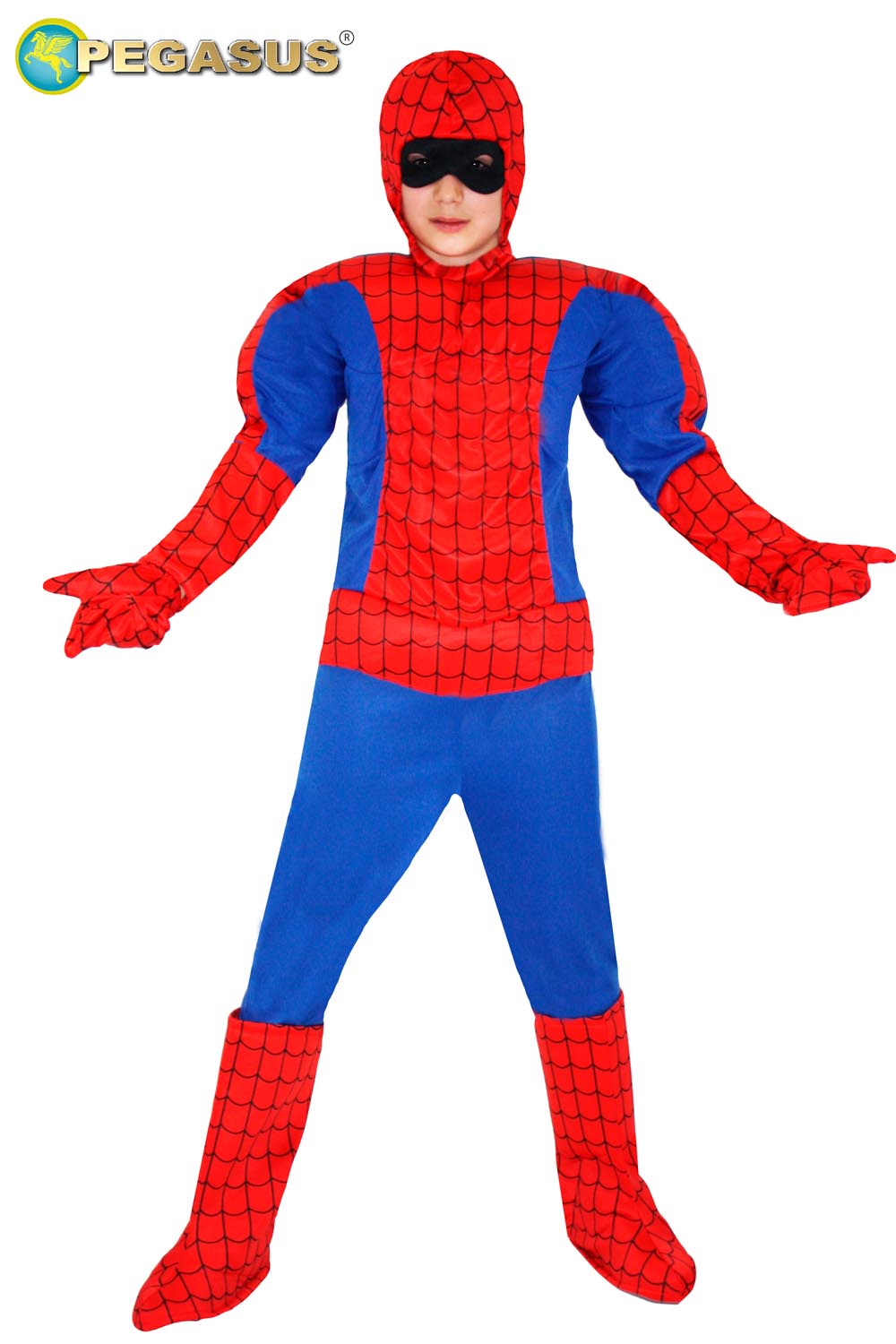 Ragno royal (con muscoli) di pegasus